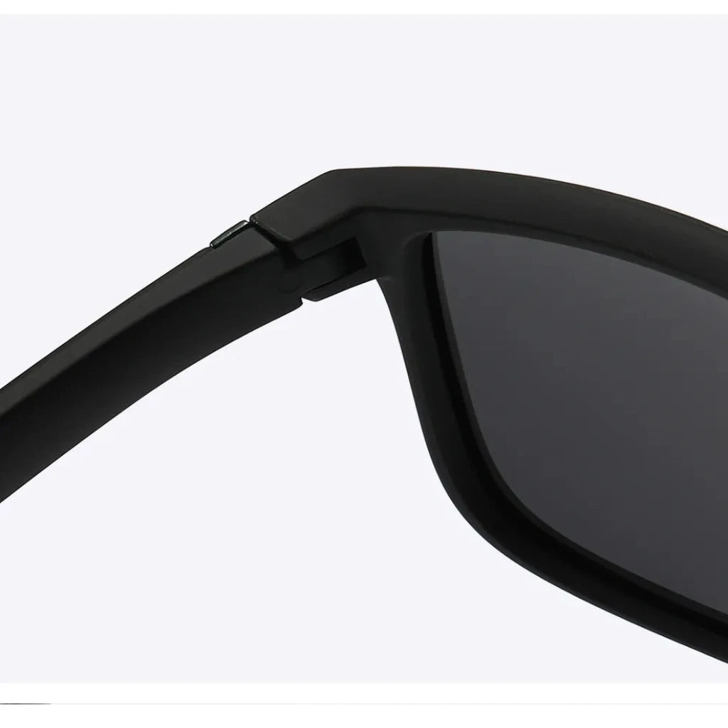 SUNGLASSES ASHBORNE