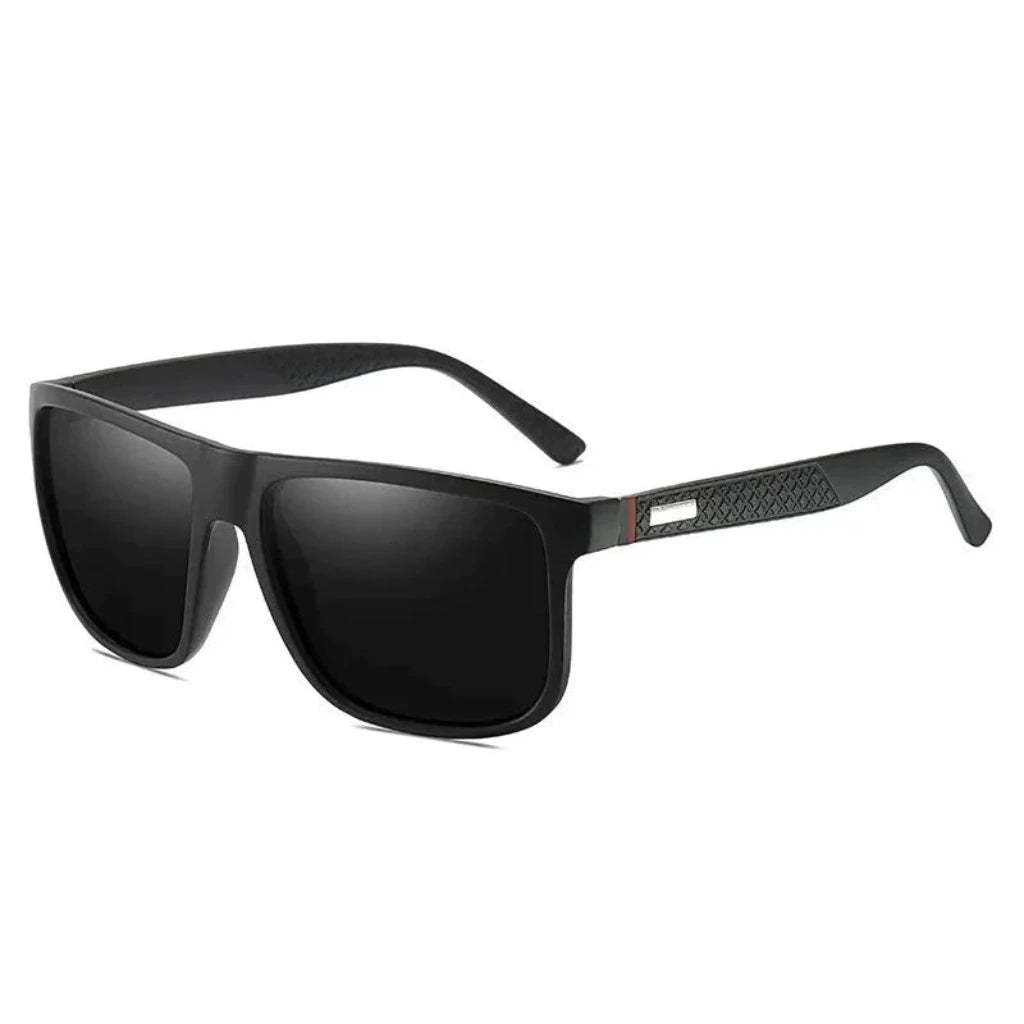 SUNGLASSES ASHBORNE